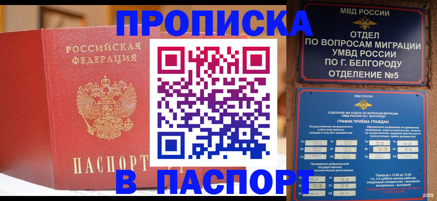 временная регистрация в квартире в Елизово